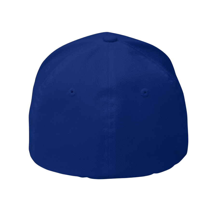 DailyThreadCo. blue structured Flexfit cap with a curved visor and embroidered distressed skull design.