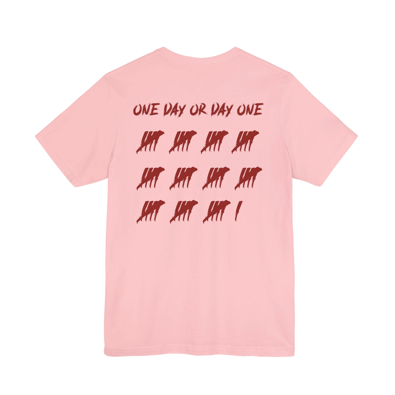 DailyThreadCo. light pink cotton t-shirt featuring a back graphic with red tally marks and One Day or Day One text.